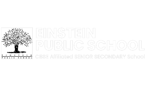 Einsteen Public School