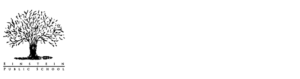 Einsteen Public School