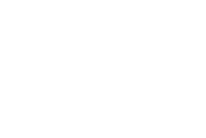 ZC